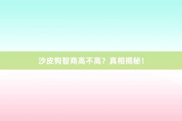 沙皮狗智商高不高？真相揭秘！